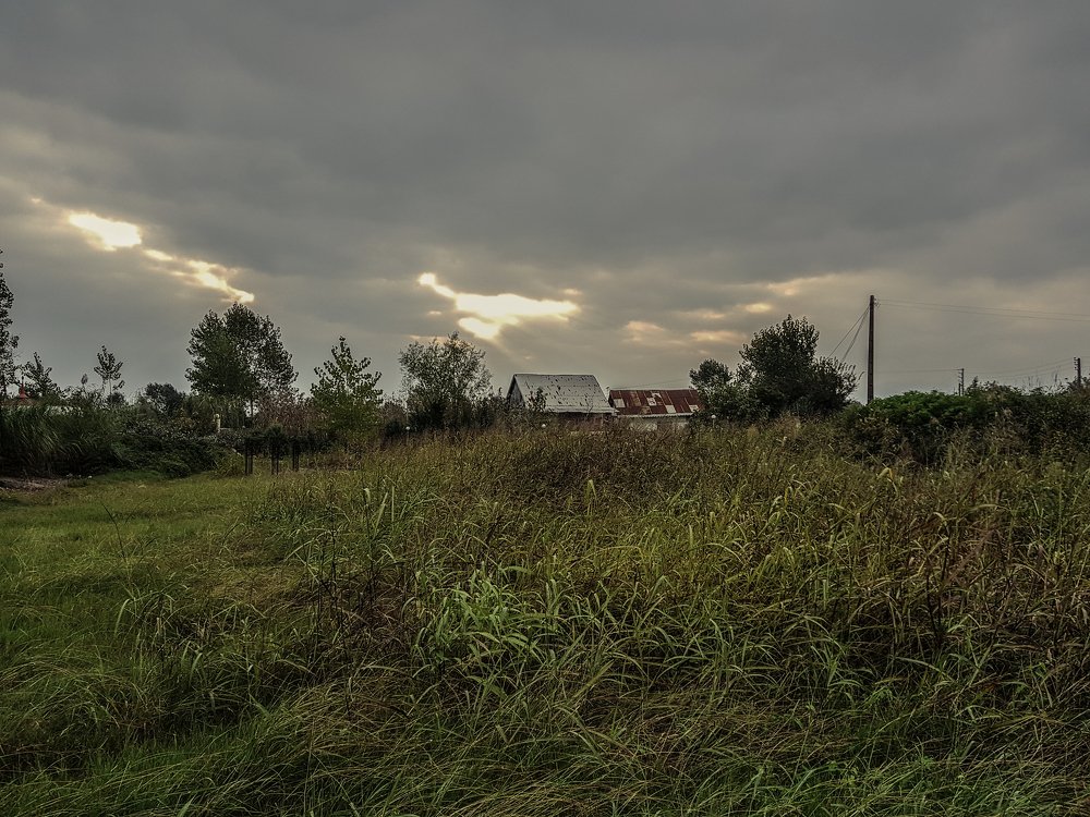 Фотография автора Nima Nezafat Yazdi