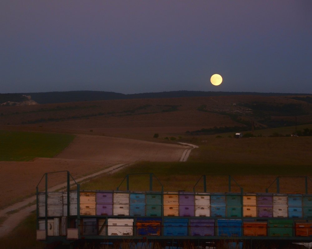 Photograph by Елена Акулова