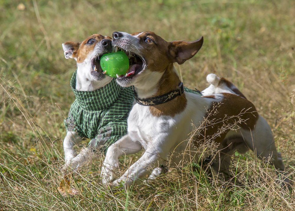 Photograph by Сергей Федоренко
