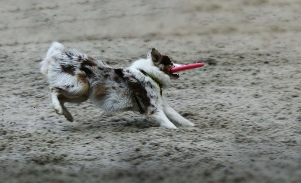 Photograph by Валерий Козуб