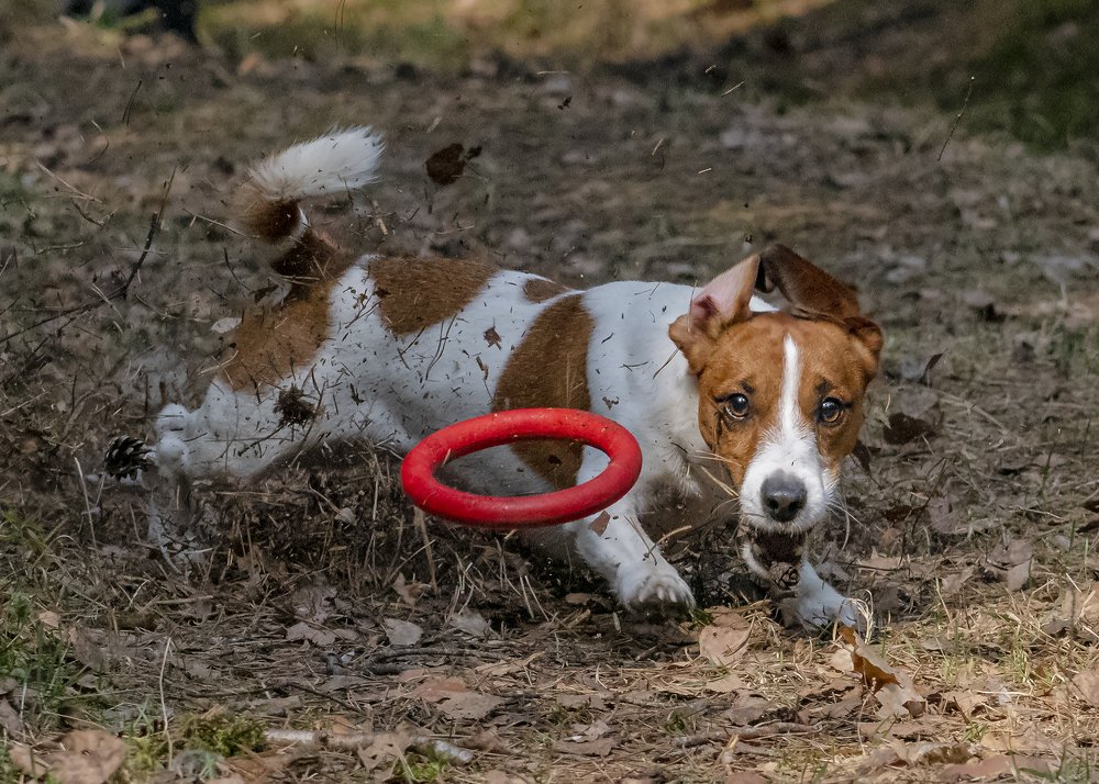 Photograph by Сергей Федоренко