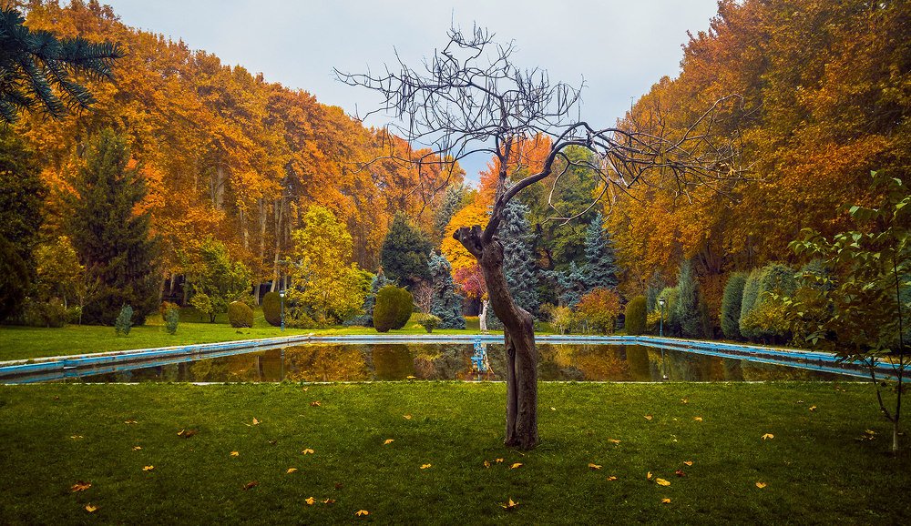 Photograph by Hamid Rastin