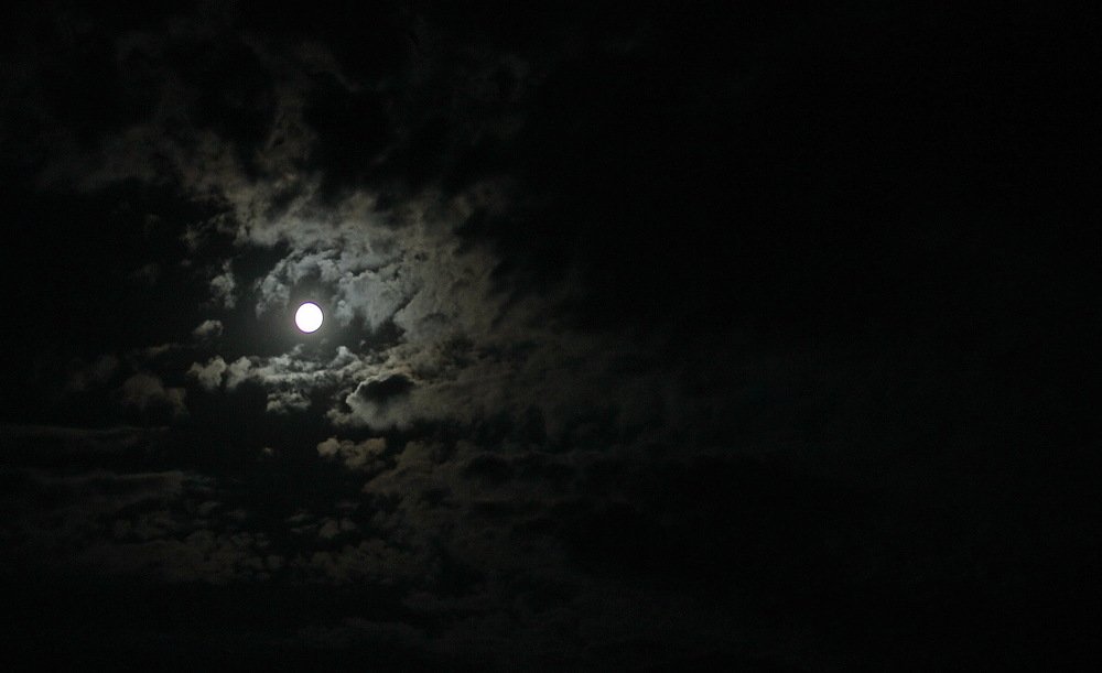 Фотография автора Анатолий Мироненко