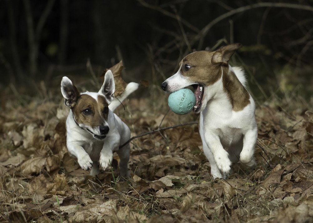 Photograph by Сергей Федоренко