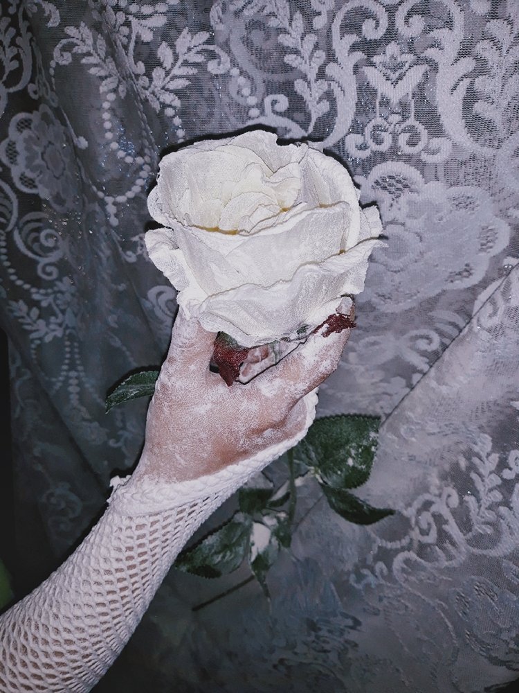 Photograph by Жасмин Сулиман