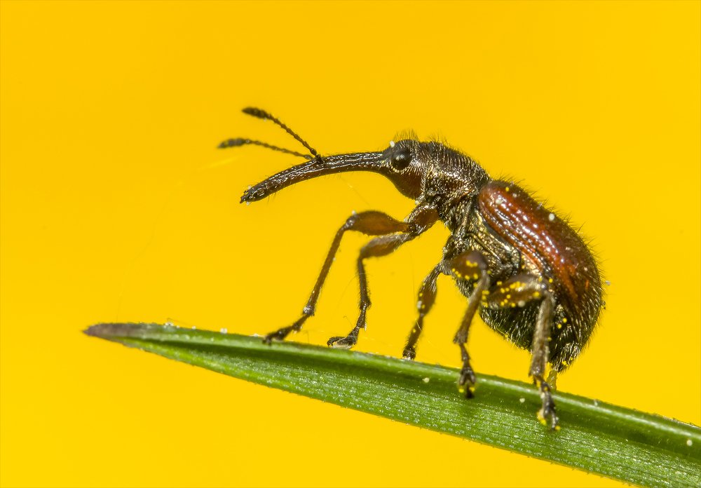 Photograph by Сергей Федоренко