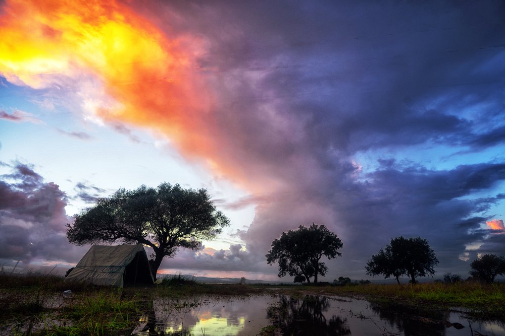 Photograph by Kadhem Bousbia