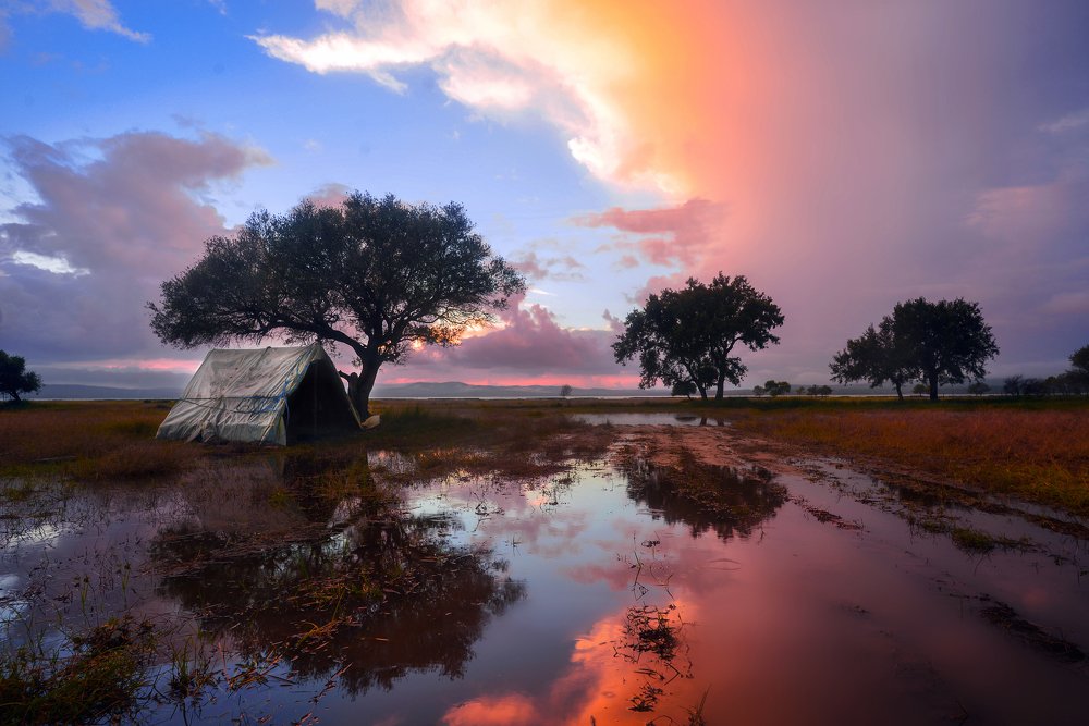 Photograph by Kadhem Bousbia