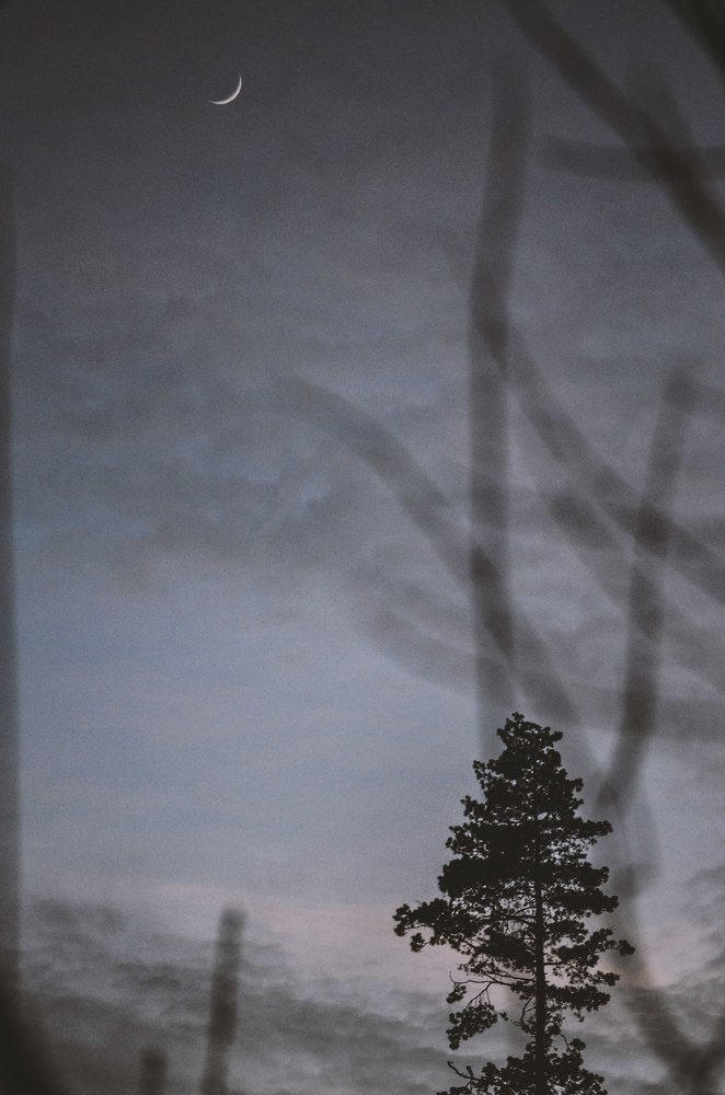 Photograph by Дмитрий Беликов