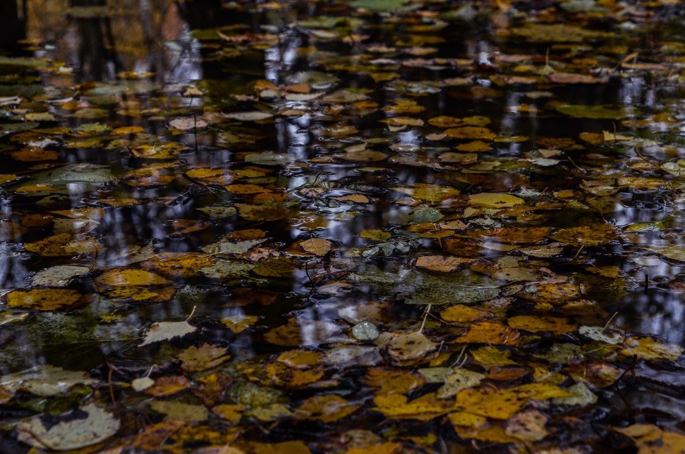 Photograph by Дмитрий Беликов