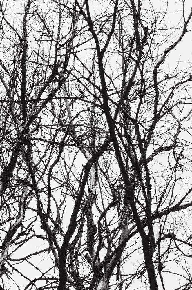 Photograph by Дмитрий Беликов