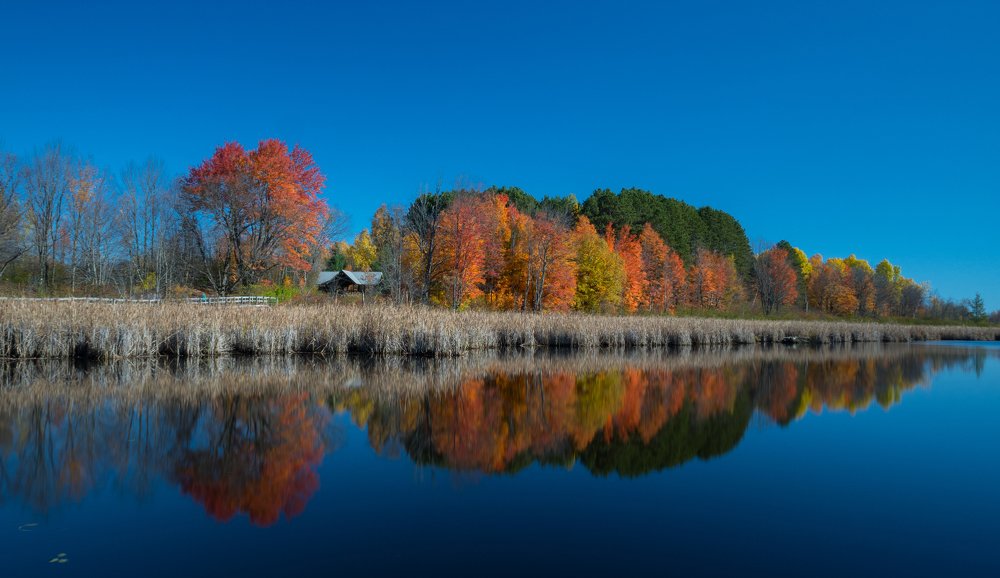 Lake during the Canadian Indian Summer