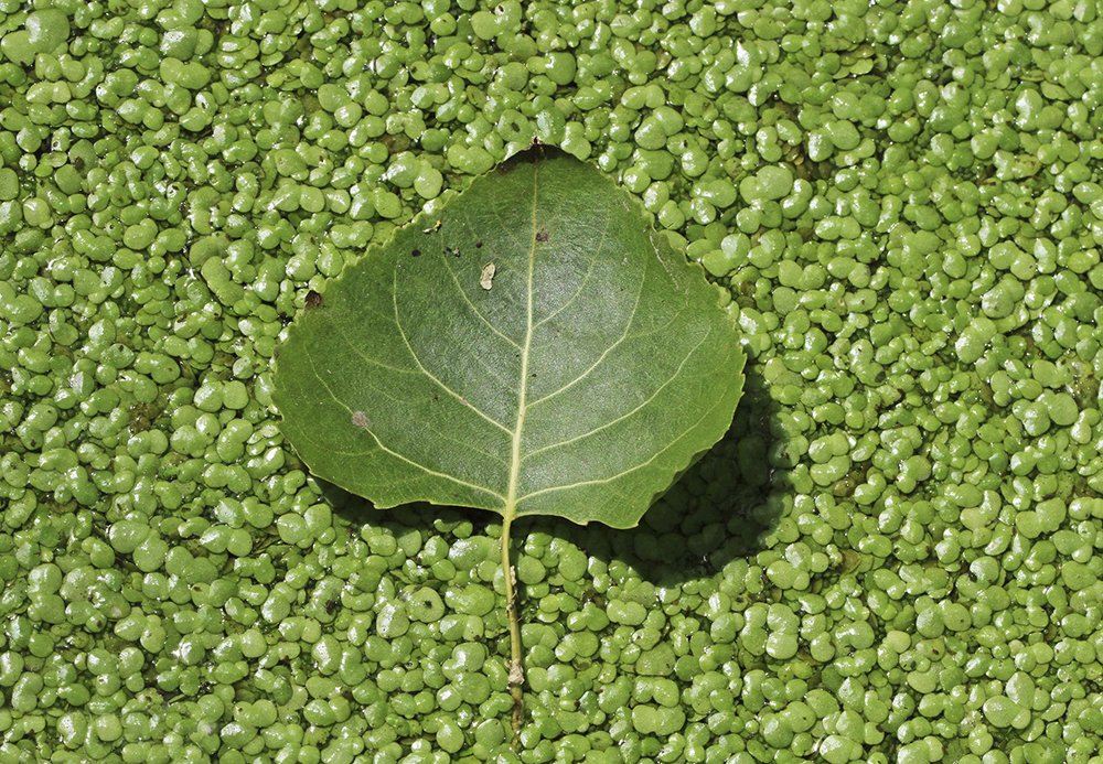 Фотография автора Marina