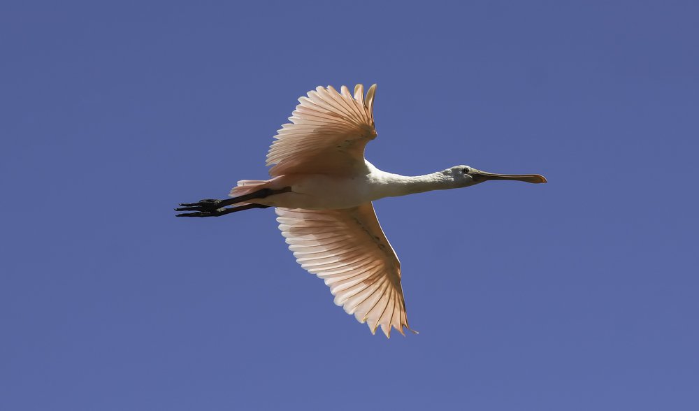 Photograph by Edilene Guerra