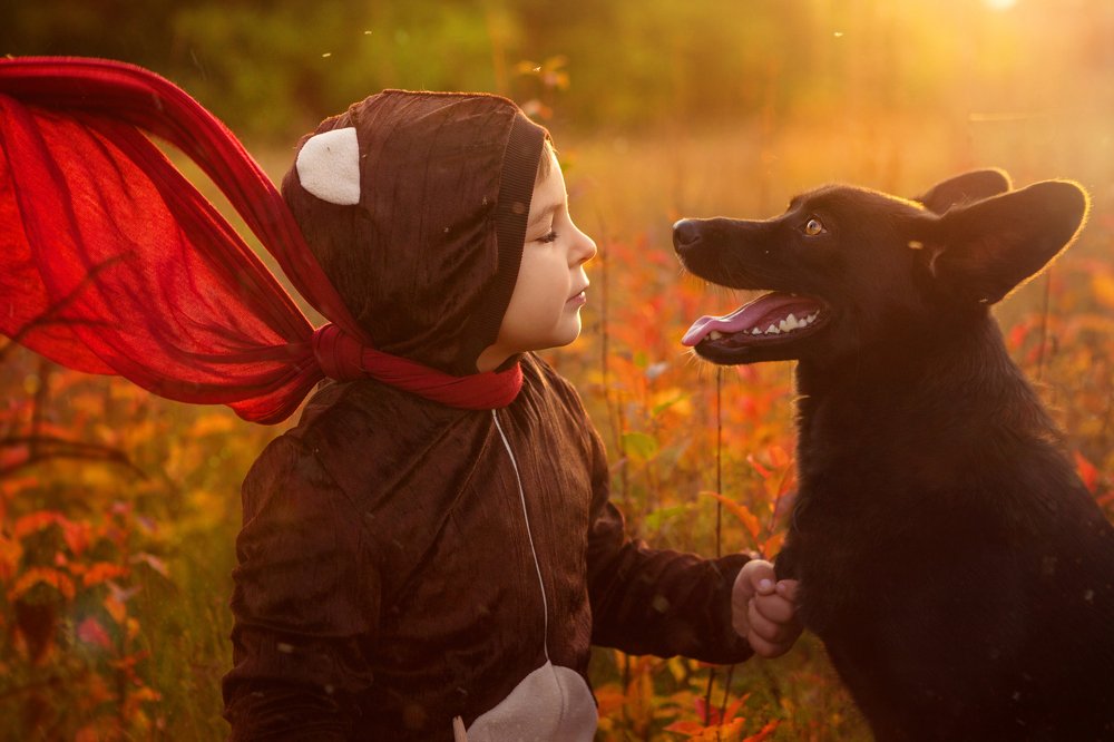 Photograph by Алена Комович