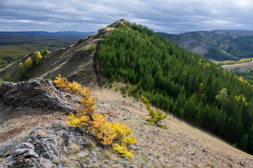 Photograph by Евгений Гецев