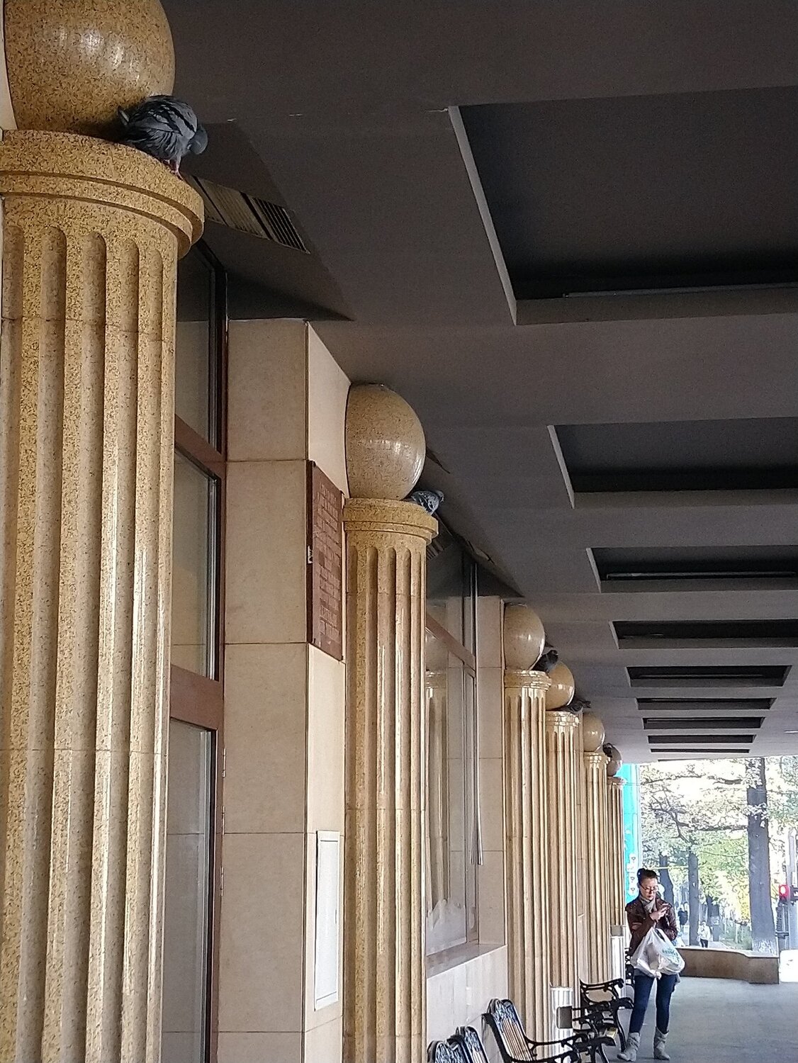 Photo #3755462