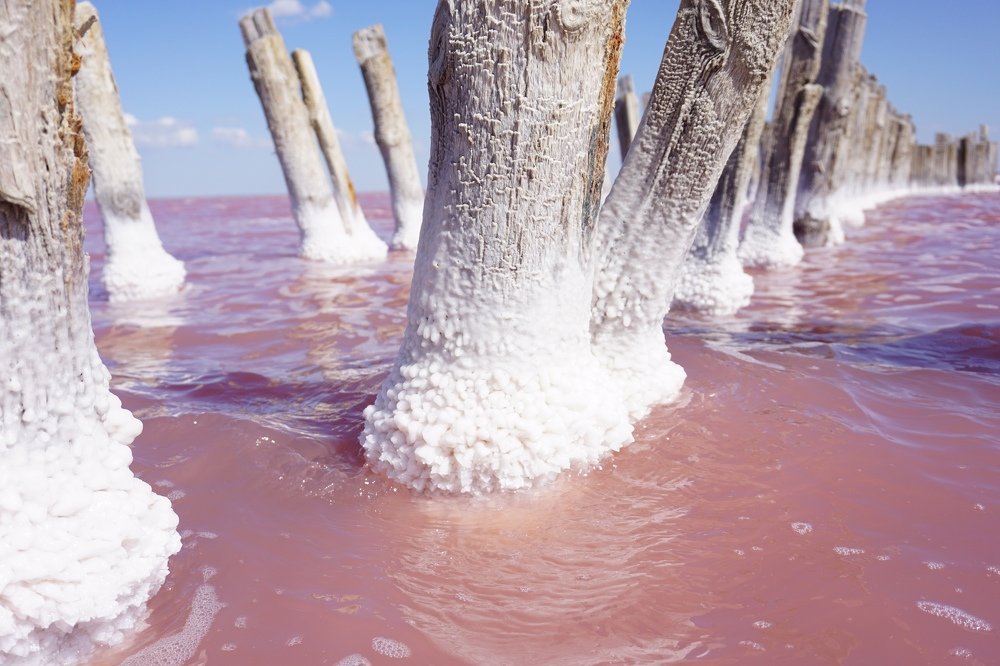 Photograph by Алеся Писнова