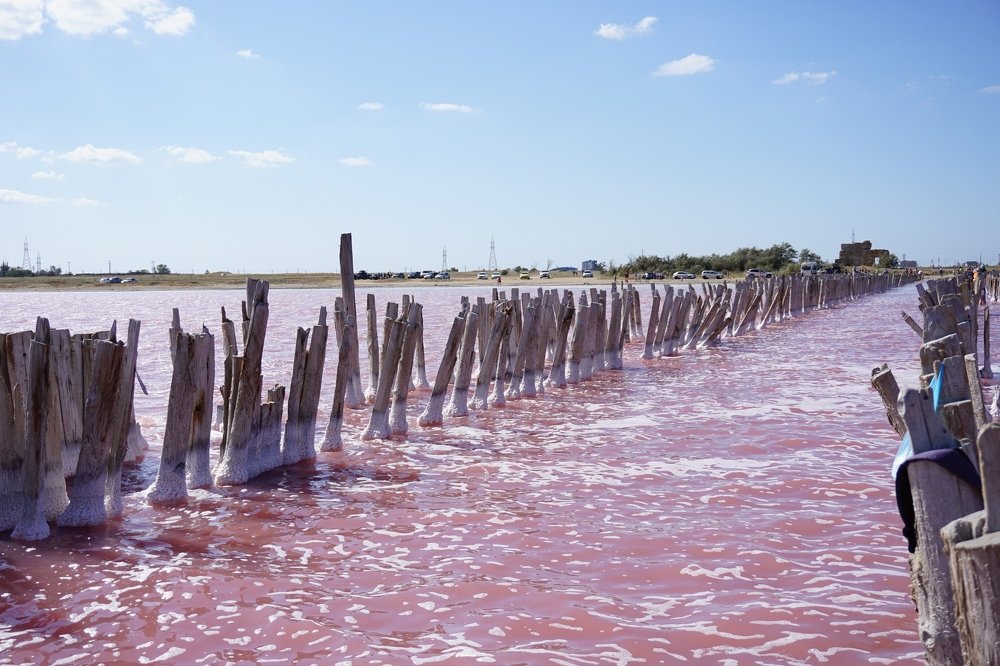 Photograph by Алеся Писнова