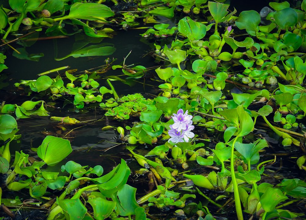 Фотография автора Gabriela Bonilla