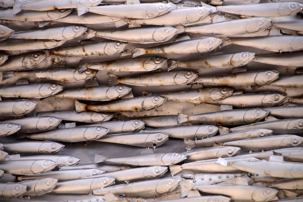 Photograph by Сергей Прокофьев