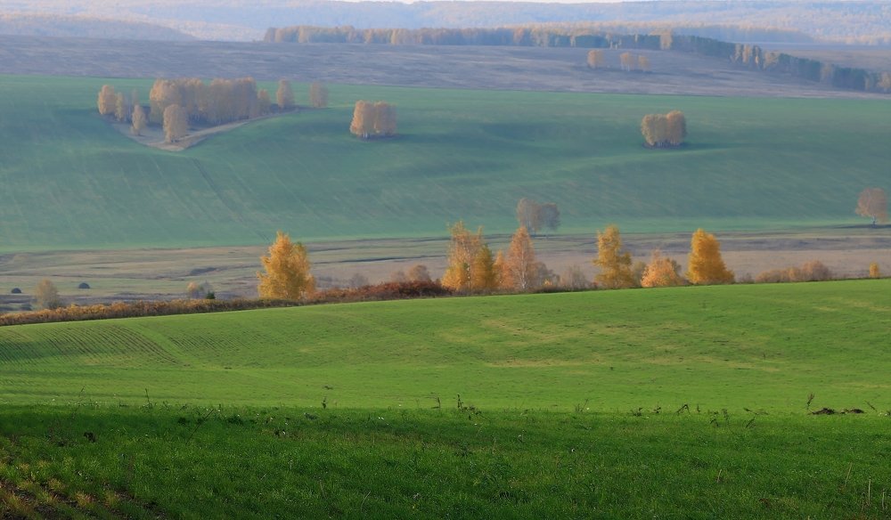Photograph by Сергей Марков