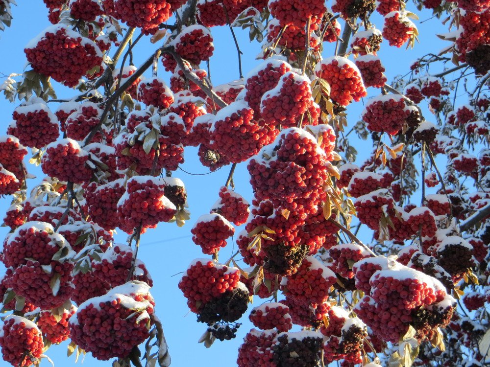 Photograph by Галина