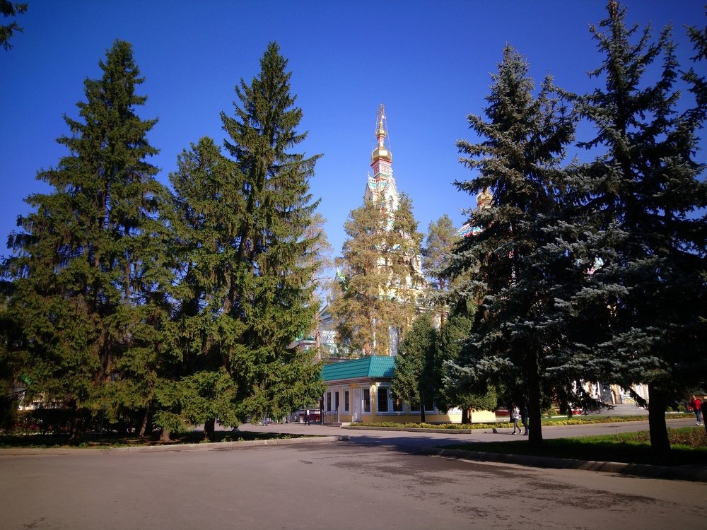 Photo #3755596