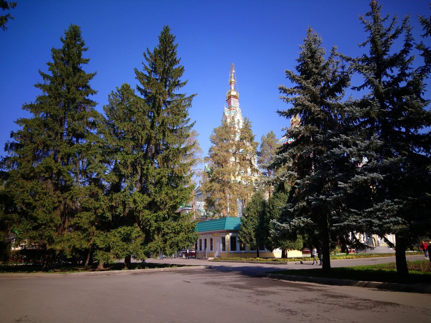 Photo #3755596