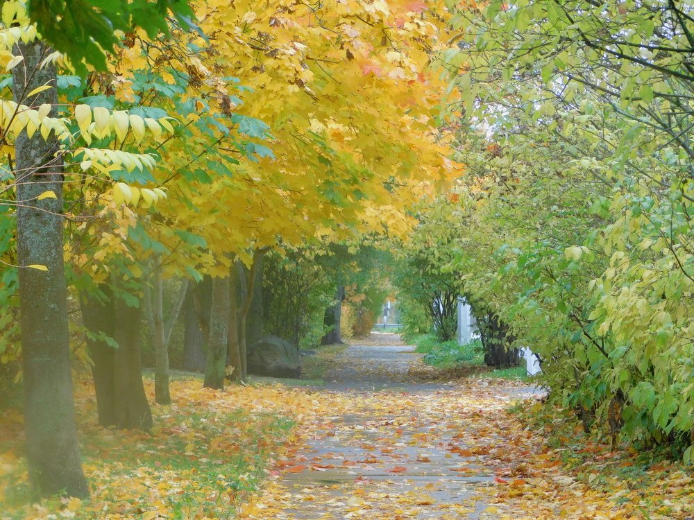 Осенняя улица