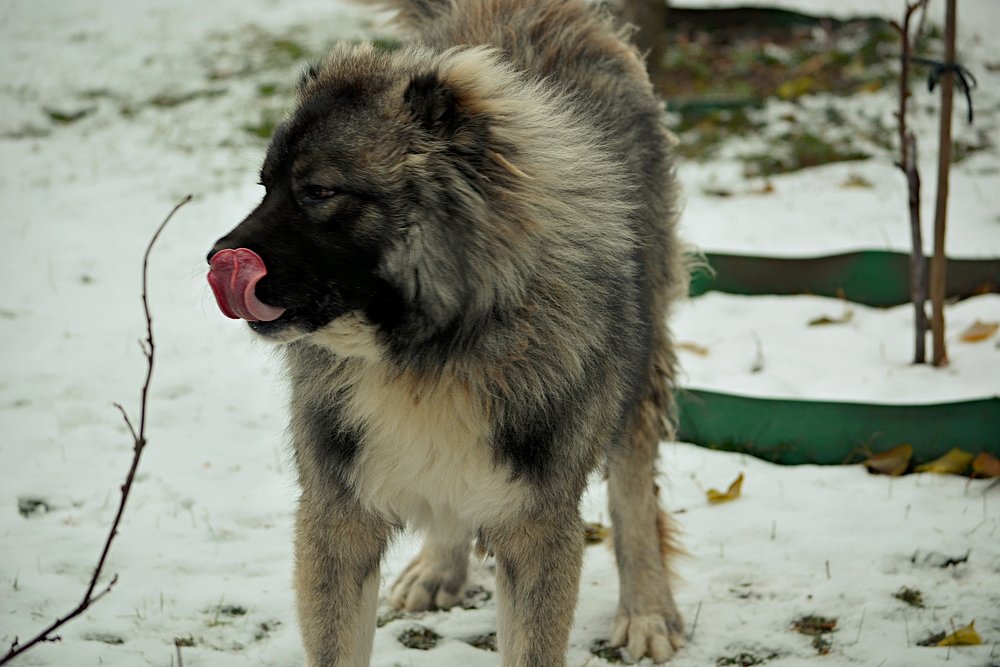 Photograph by Алексей Епишин