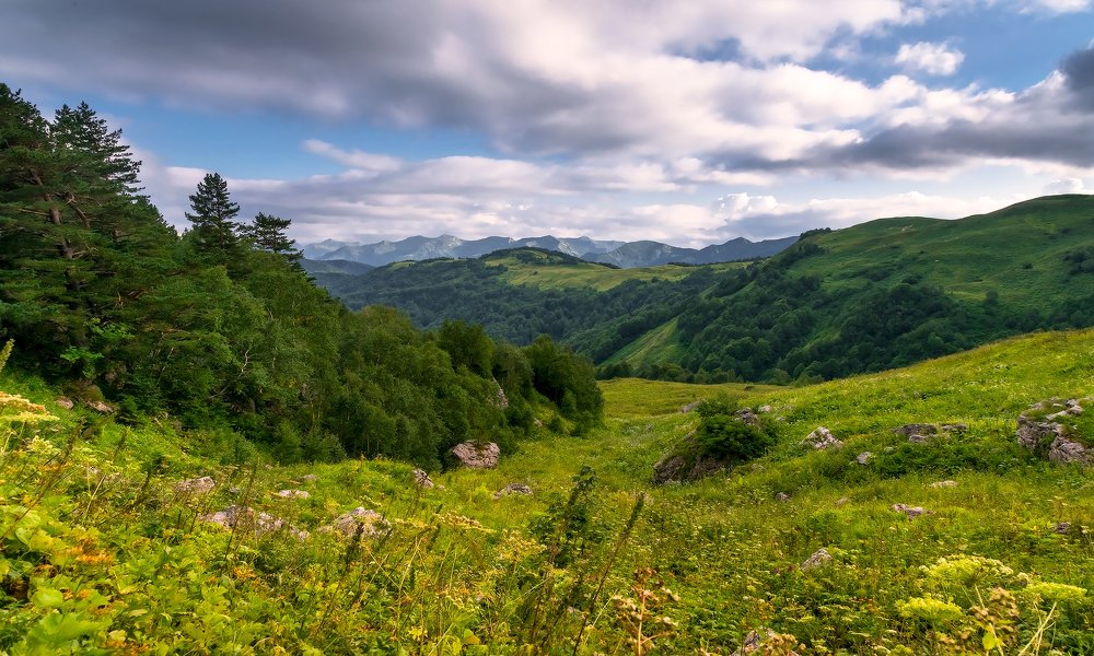 Photograph by Олег Скан