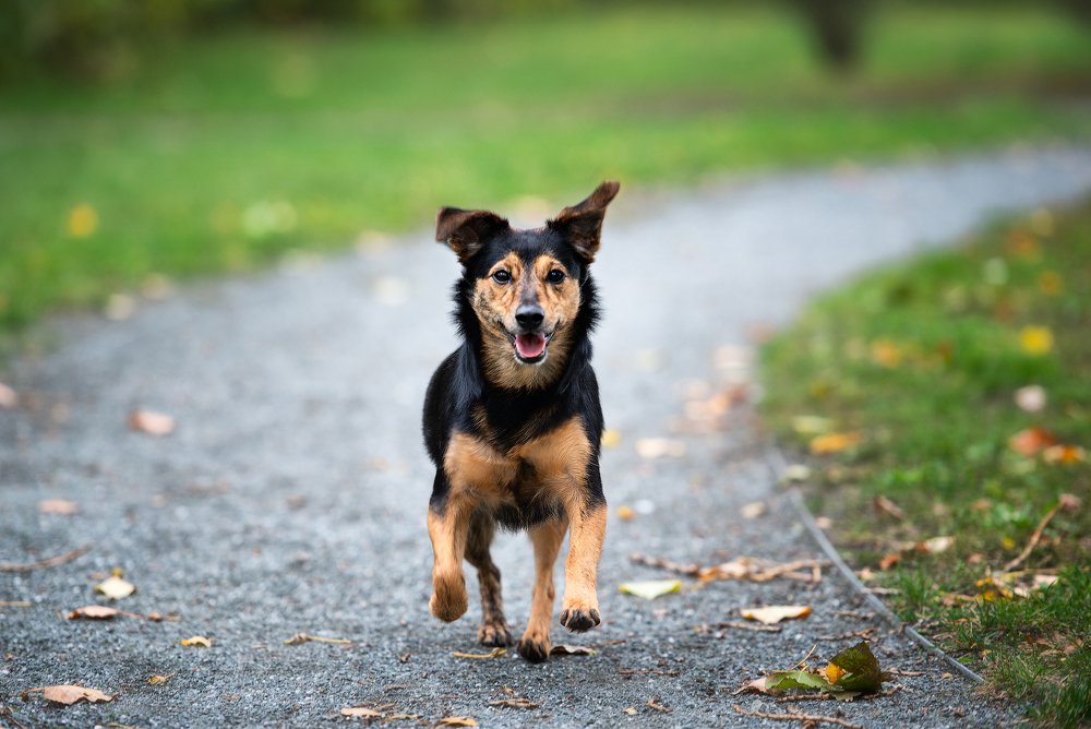 Photograph by Юлия Борт