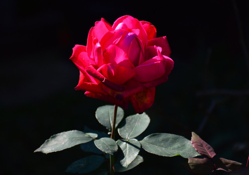 Photograph by Юрий Солодовников