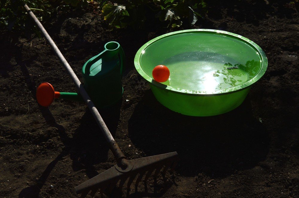 Photograph by Юрий Солодовников