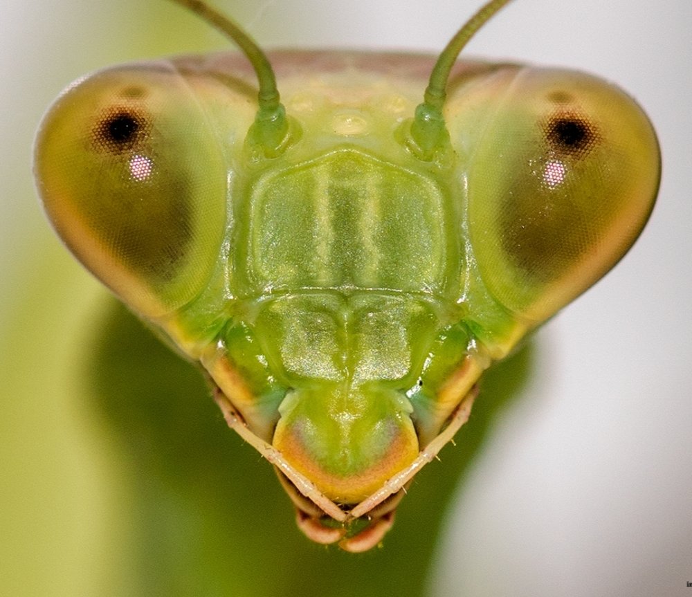 Photograph by Mohammad Nazari