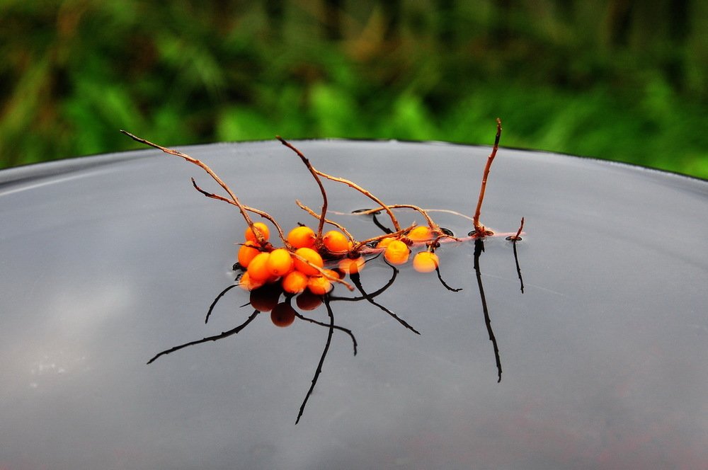 Приметы осени