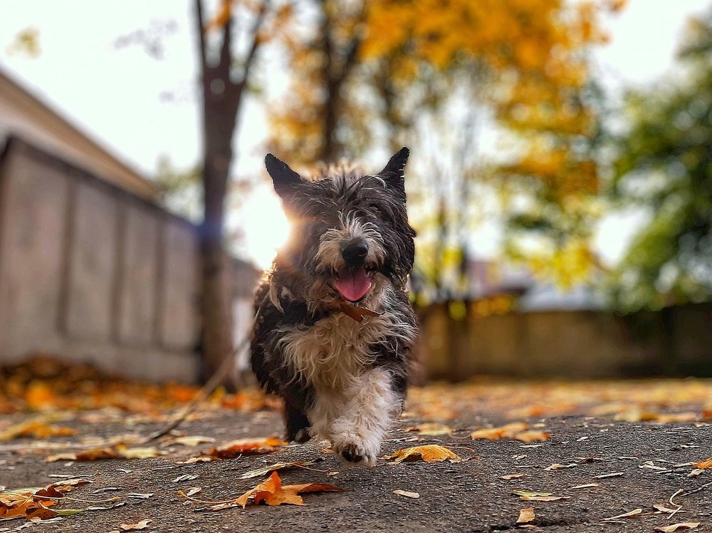 Photograph by Сергей Колос