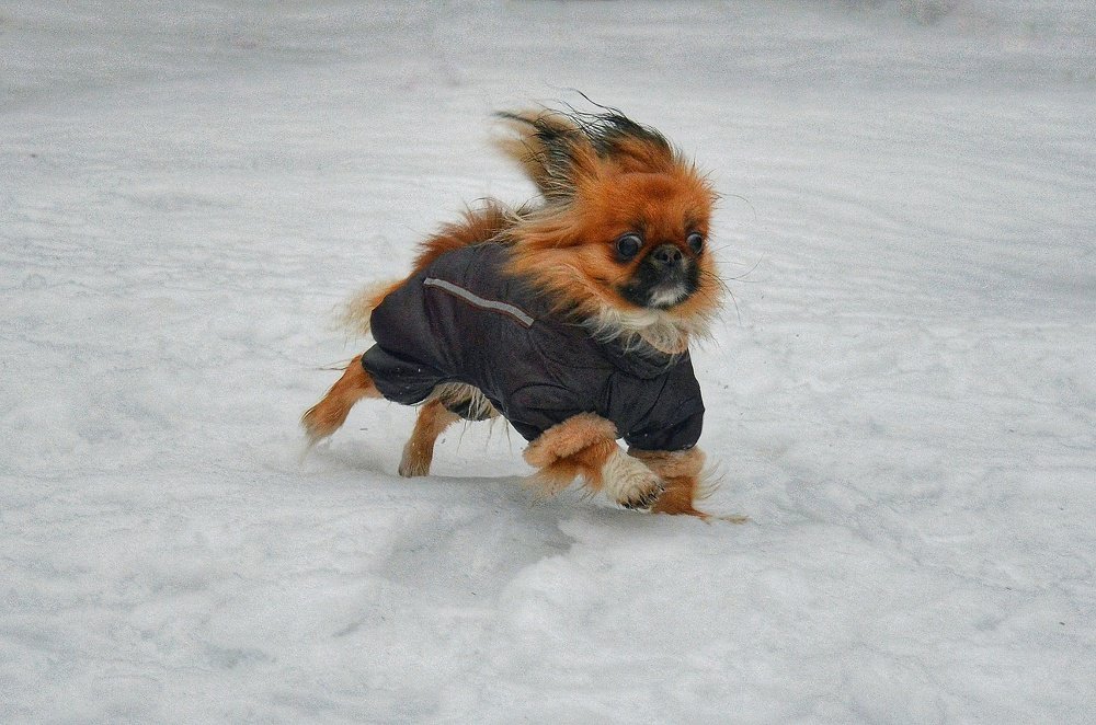 Photograph by Сергей Колос