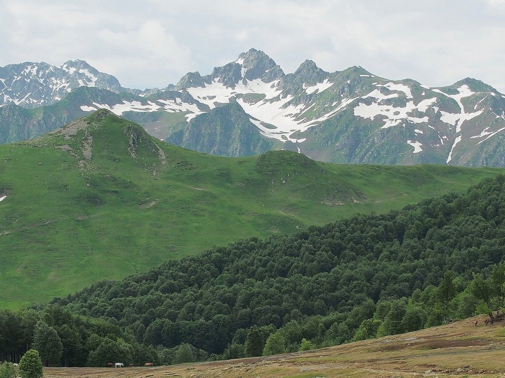 Photograph by Елена Харитонова