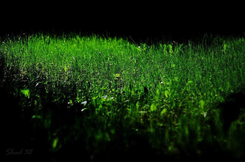 Photograph by Овчаров Александр