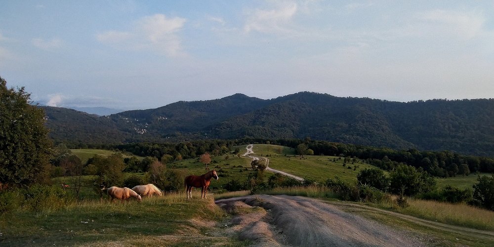 Photograph by Елена Харитонова