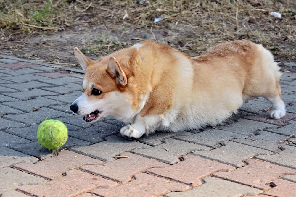 Photograph by Светлана Титова