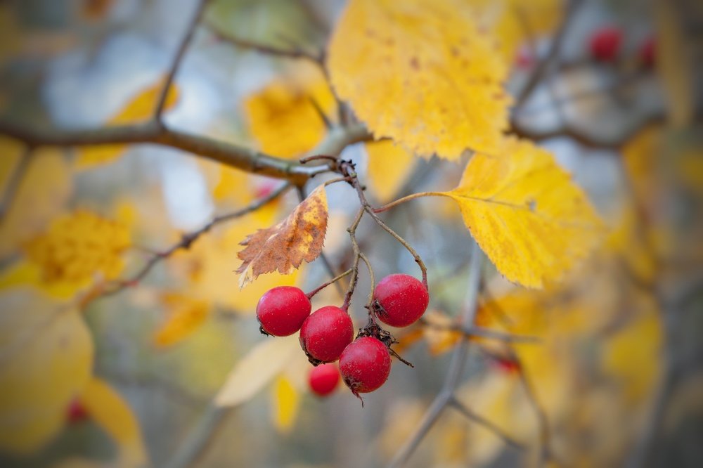 Photograph by Василий Фроленок