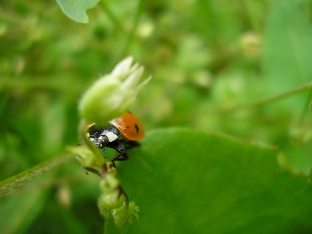 Photograph by Виталий Полозов
