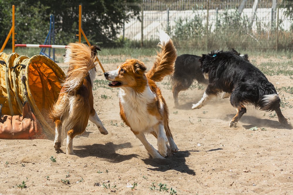 Ура- свобода!!