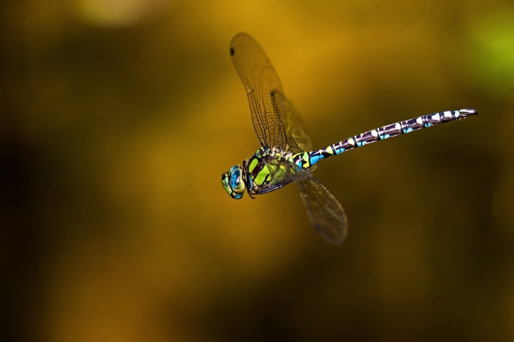 Photograph by zause01