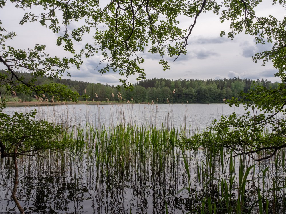 Берег реки Неман