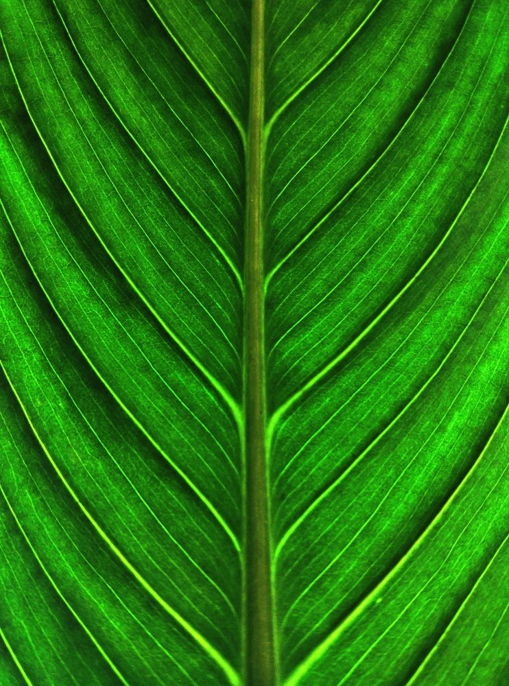 Photograph by Максим Двинин