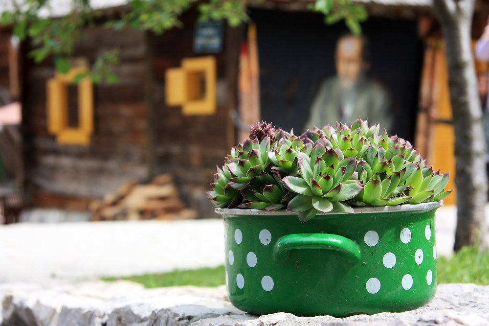 Photograph by Людмила Травина